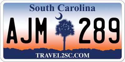 SC license plate AJM289