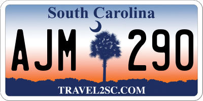 SC license plate AJM290