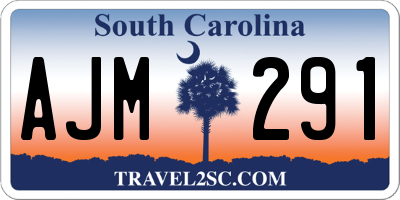 SC license plate AJM291