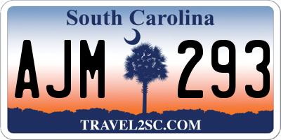 SC license plate AJM293