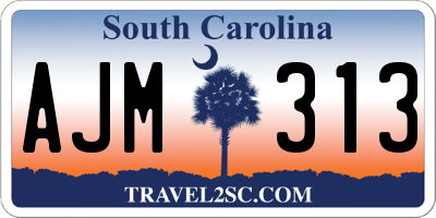 SC license plate AJM313