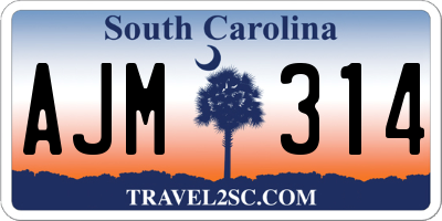 SC license plate AJM314