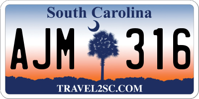 SC license plate AJM316