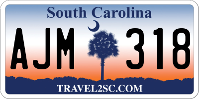 SC license plate AJM318