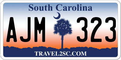 SC license plate AJM323