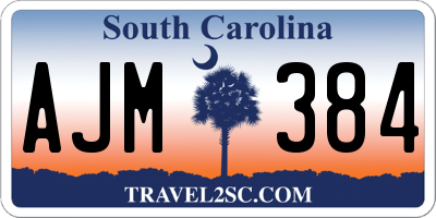 SC license plate AJM384