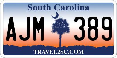 SC license plate AJM389