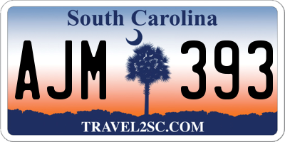 SC license plate AJM393