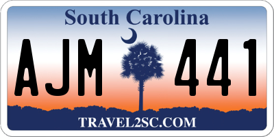SC license plate AJM441