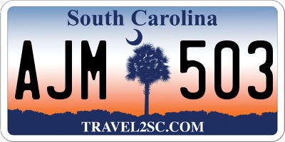 SC license plate AJM503