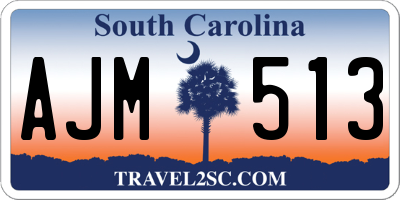 SC license plate AJM513