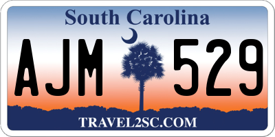 SC license plate AJM529