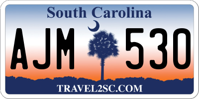 SC license plate AJM530