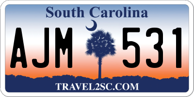 SC license plate AJM531