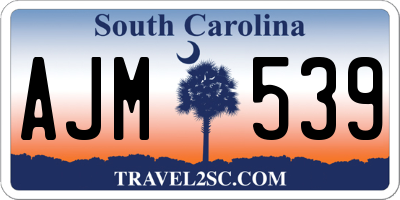 SC license plate AJM539