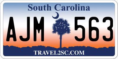 SC license plate AJM563
