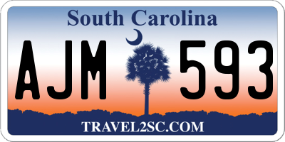SC license plate AJM593