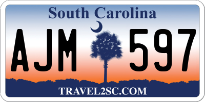 SC license plate AJM597