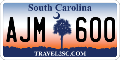 SC license plate AJM600