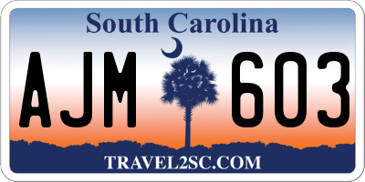 SC license plate AJM603