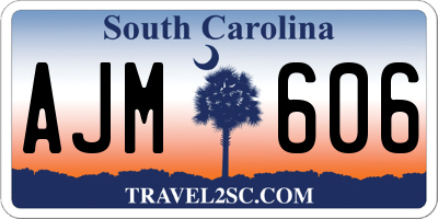 SC license plate AJM606