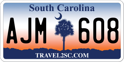 SC license plate AJM608