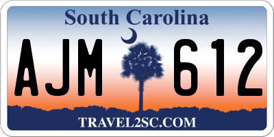 SC license plate AJM612