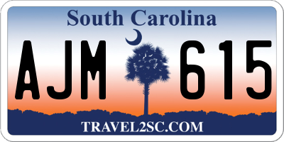 SC license plate AJM615