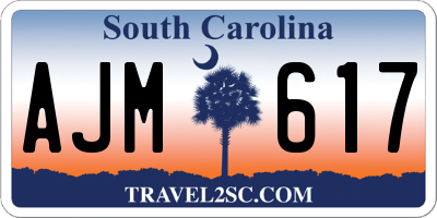 SC license plate AJM617