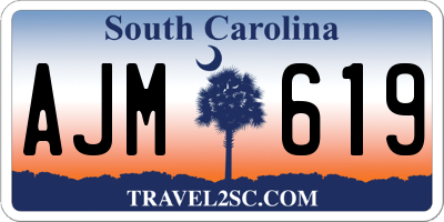 SC license plate AJM619