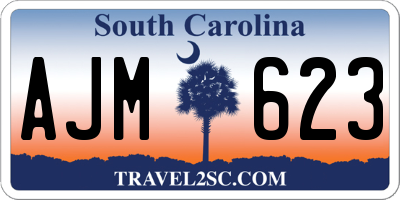 SC license plate AJM623