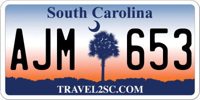 SC license plate AJM653