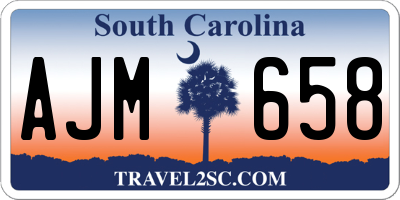 SC license plate AJM658