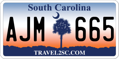 SC license plate AJM665