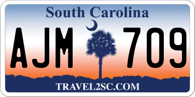 SC license plate AJM709