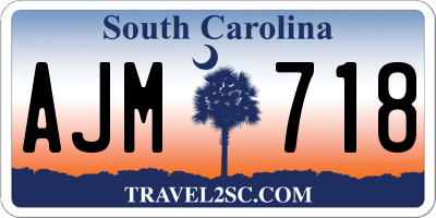 SC license plate AJM718