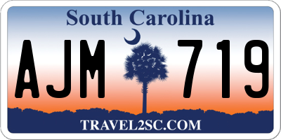 SC license plate AJM719
