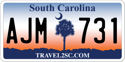 SC license plate AJM731