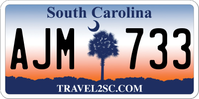 SC license plate AJM733