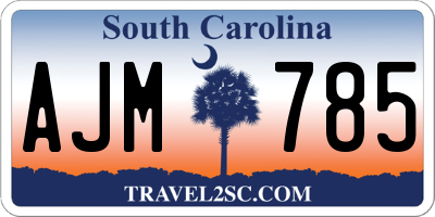 SC license plate AJM785
