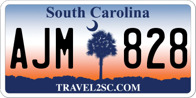 SC license plate AJM828