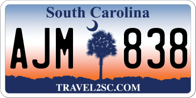 SC license plate AJM838