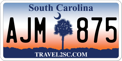 SC license plate AJM875