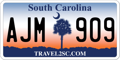 SC license plate AJM909