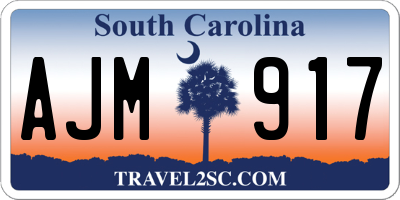 SC license plate AJM917