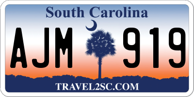 SC license plate AJM919