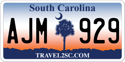 SC license plate AJM929