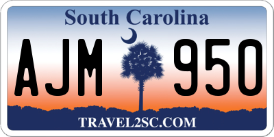 SC license plate AJM950