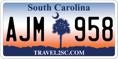 SC license plate AJM958