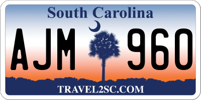 SC license plate AJM960